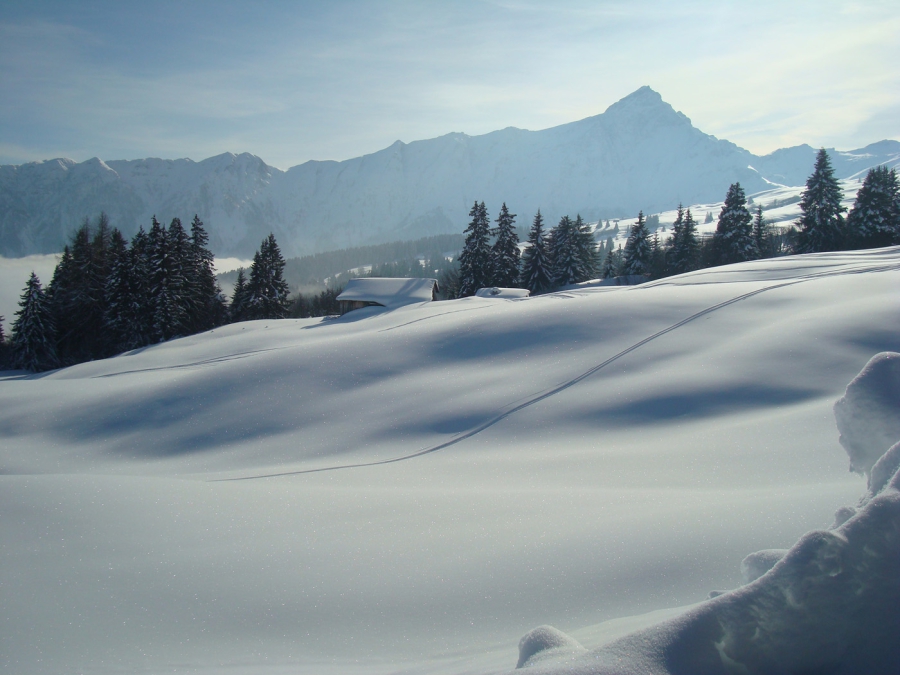 Wintersport Tschappina